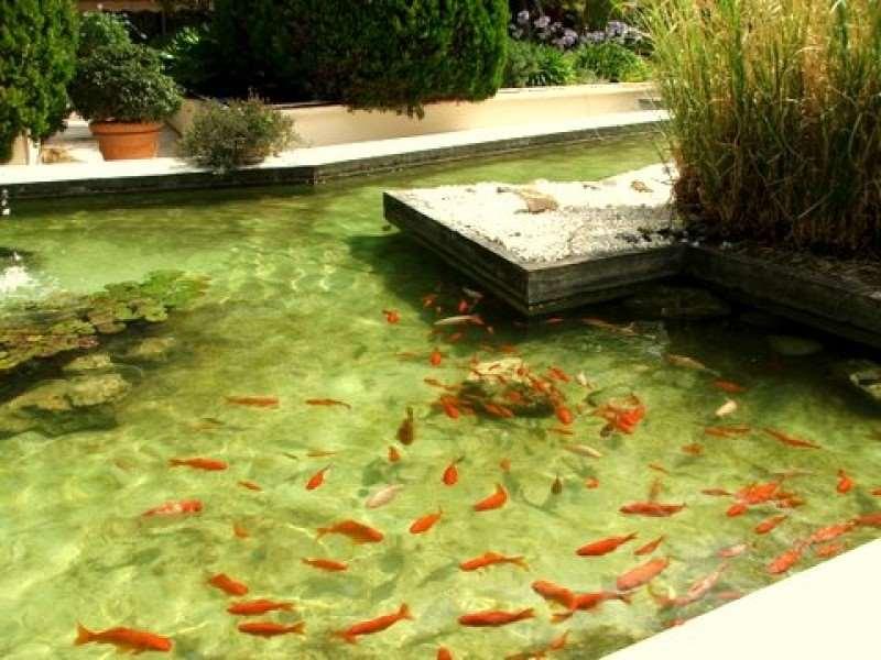 Hotel Diana Vence Ngoại thất bức ảnh
